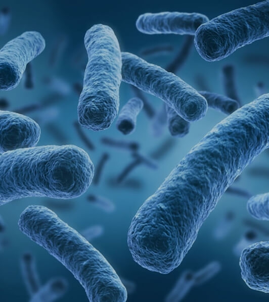 Sobre a Legionella - Legionella Prevention